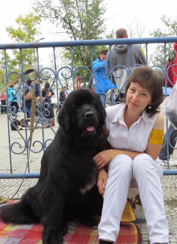 Фотография № 213137