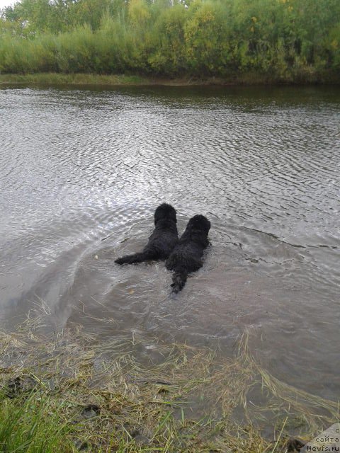 Фотография № 213139