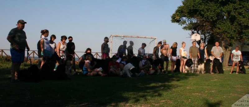 Фотография № 213142