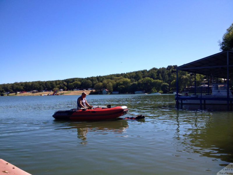 Фото: ньюфаундленд Angel Khranitel Gruffidd (Ангел Хранитель Граффидд)