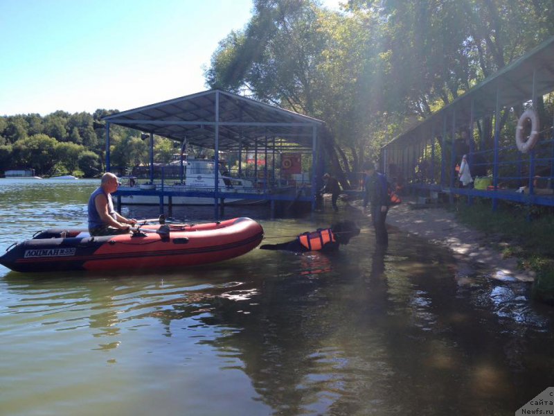 Фотография № 213144