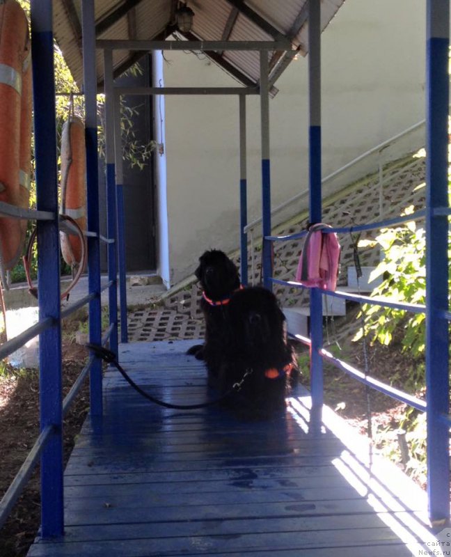 Фотография № 213149