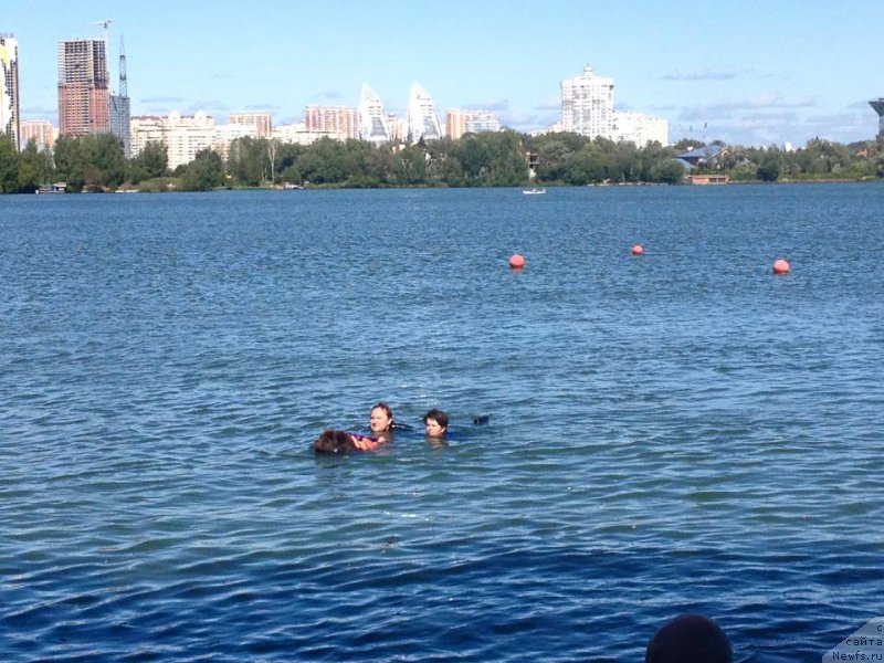 Фотография № 213156