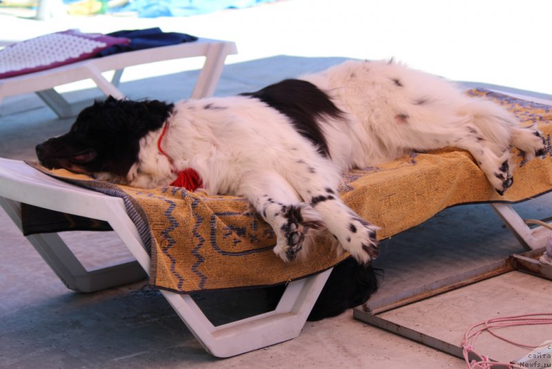 Фотография № 213159