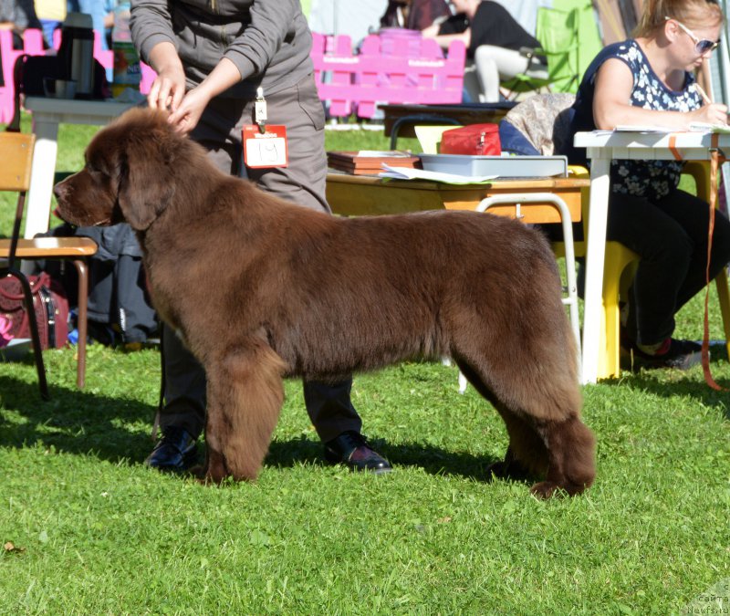 Фотография № 213190