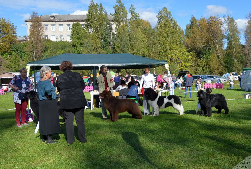 Фотография № 213192