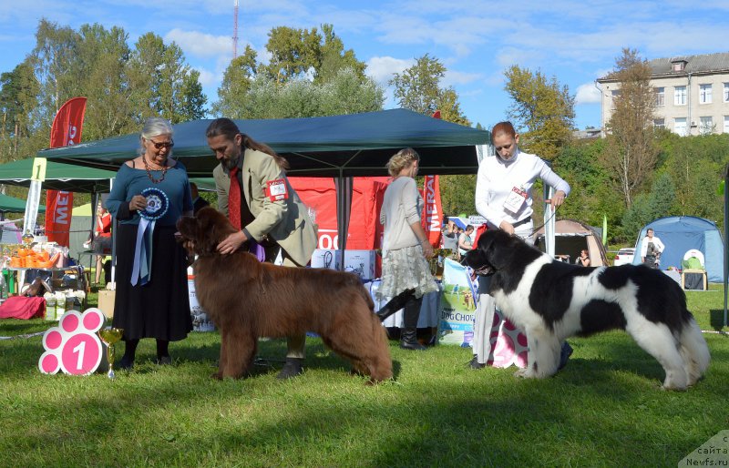 Фотография № 213194