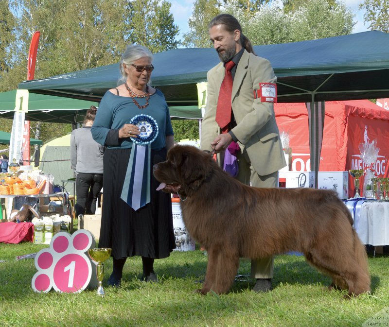 Фотография № 213195