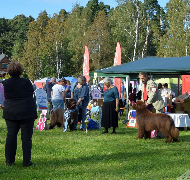 Фотография № 213197