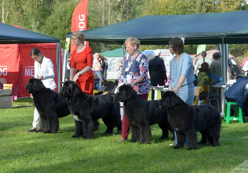 Фотография № 213199