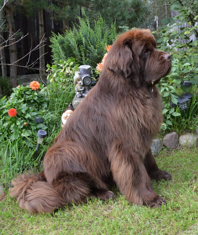 Фотография № 213202