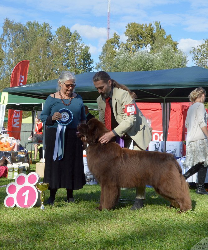 Фотография № 213209