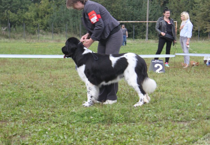 Фотография № 213221