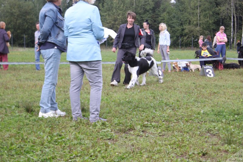 Фотография № 213222