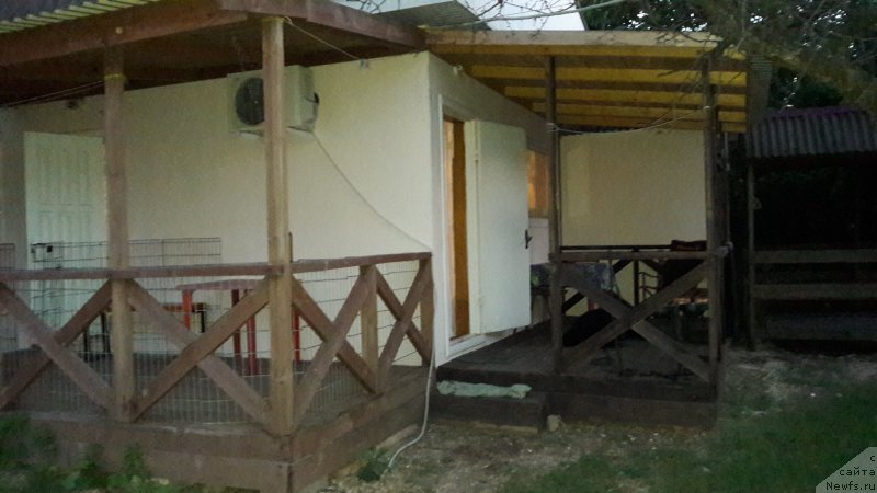 Фотография № 213229