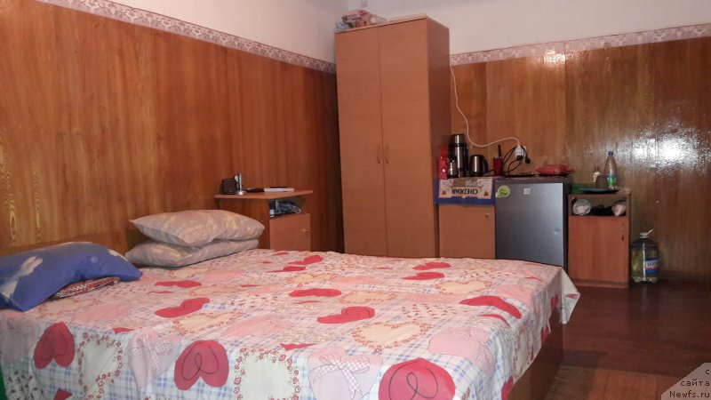 Фотография № 213230