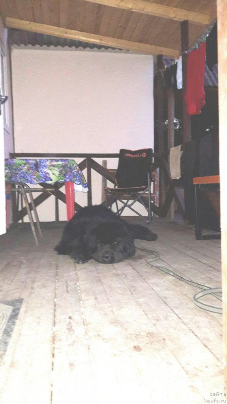 Фотография № 213231