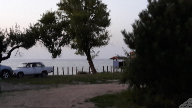 Фотография № 213232