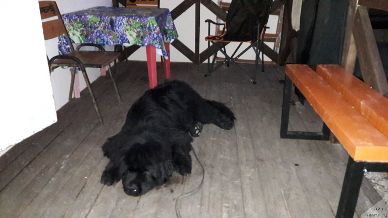 Фотография № 213233