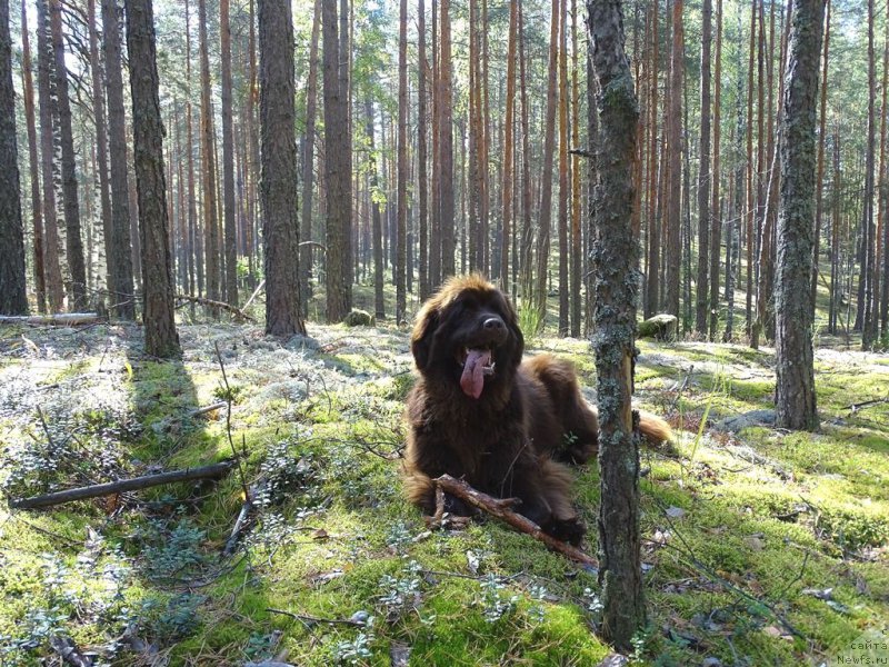 Фотография № 213257