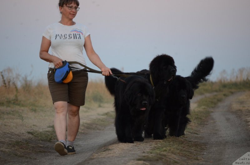 Фотография № 213261