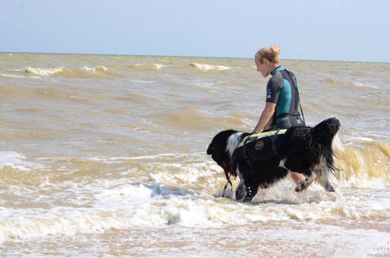 Фотография № 213265