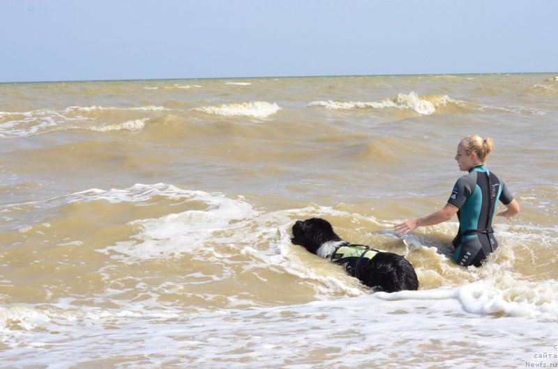 Фотография № 213266