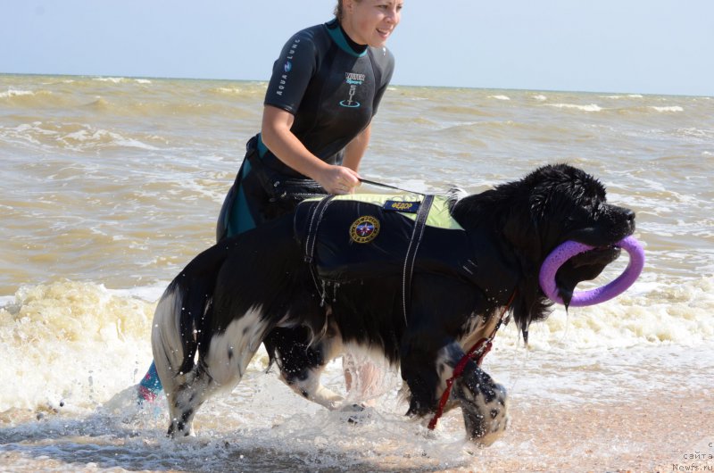 Фотография № 213267