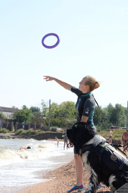 Фотография № 213268