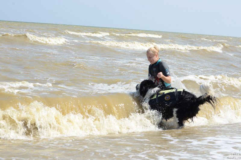 Фотография № 213269