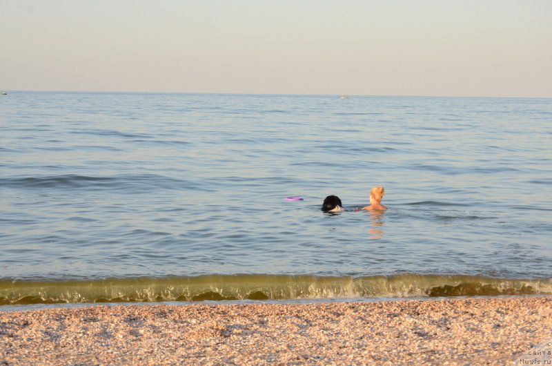 Фотография № 213270