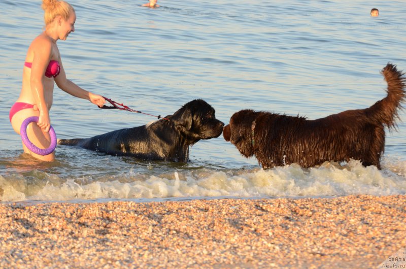 Фотография № 213272