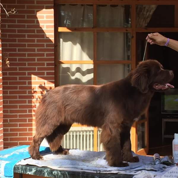 Фотография № 213276