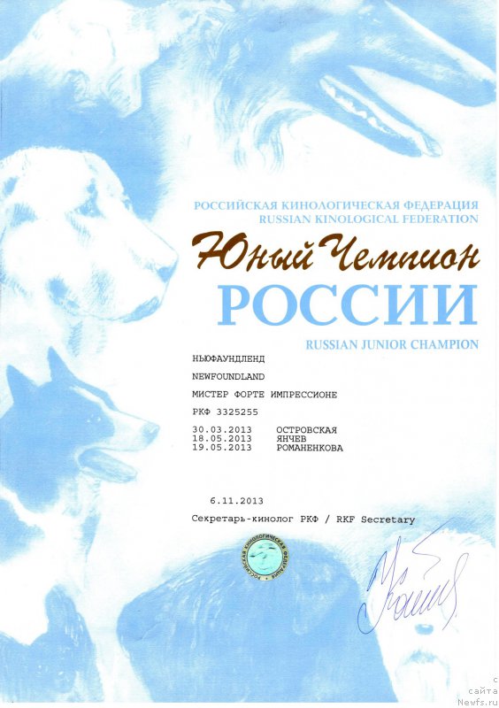 Фотография № 213281