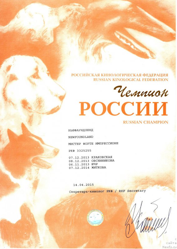 Фотография № 213282