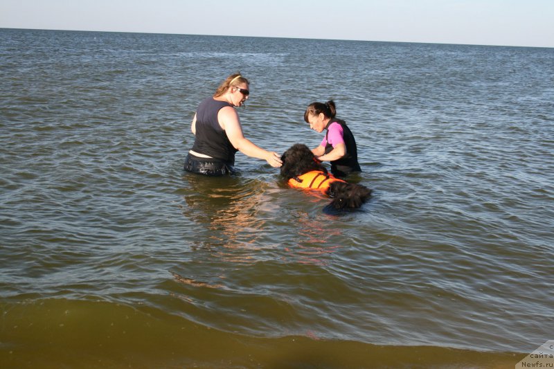 Фотография № 213318