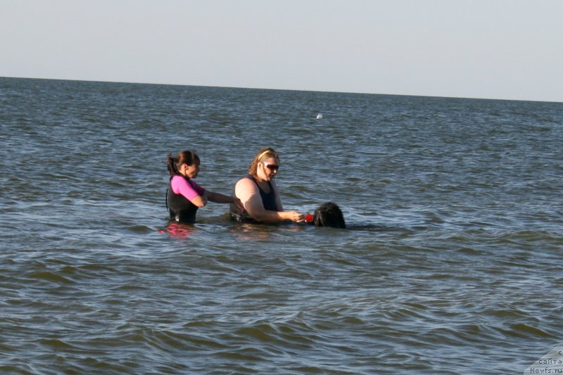 Фотография № 213320