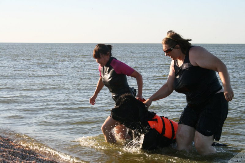 Фотография № 213321