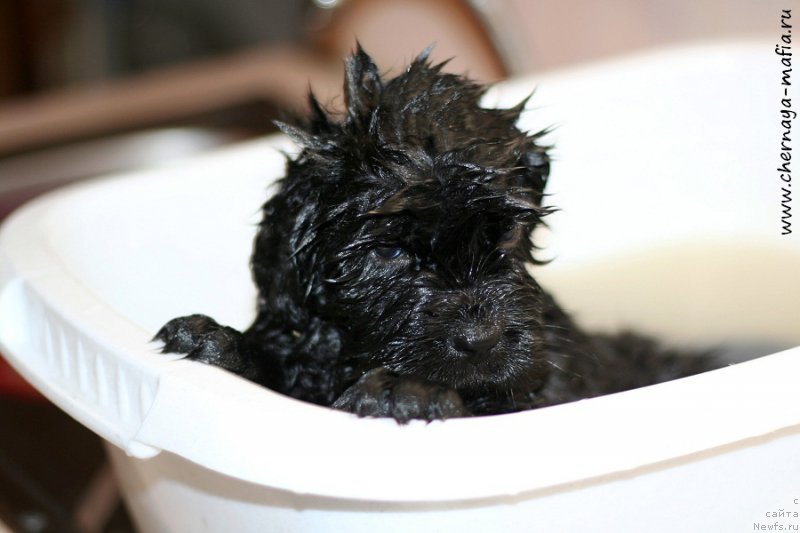 Фотография № 213324