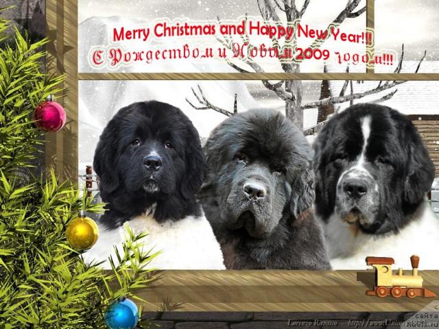 Фотография № 21335