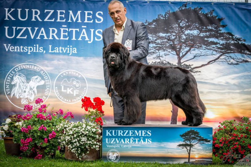 Фотография № 213365