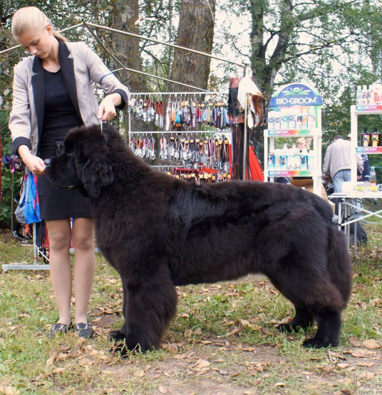 Фотография № 213374