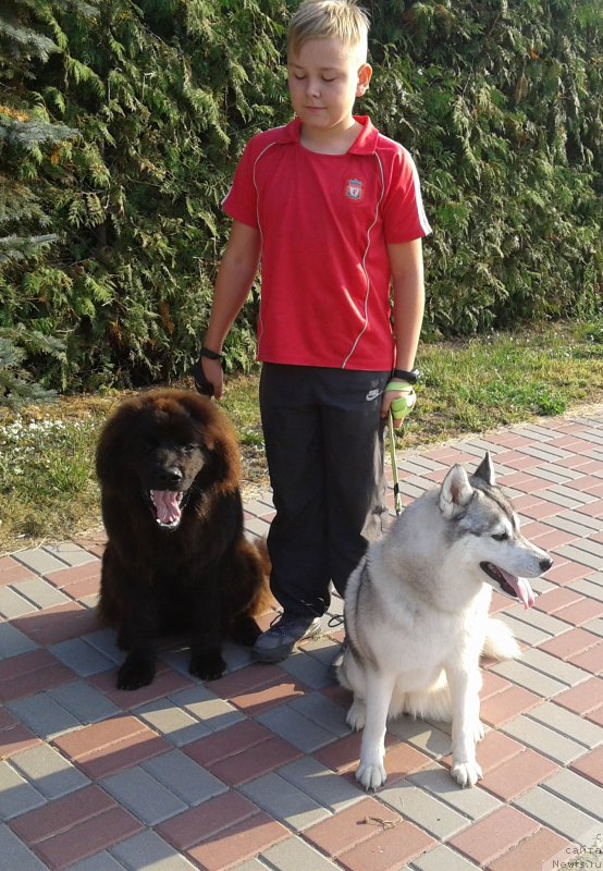 Фотография № 213409