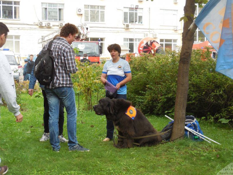 Фотография № 213411