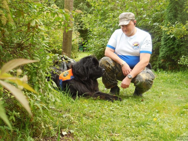 Фотография № 213414