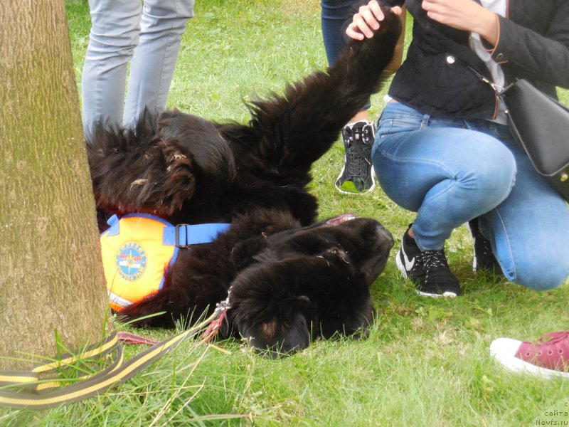 Фотография № 213415