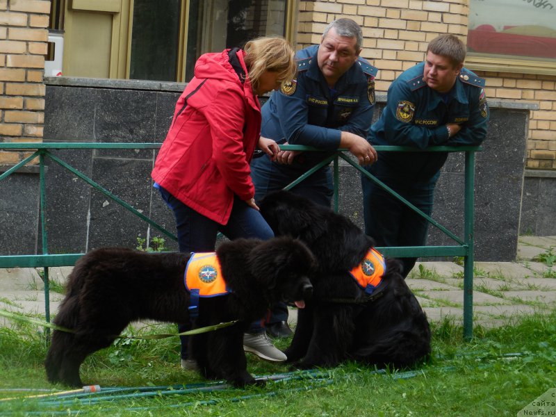 Фотография № 213417