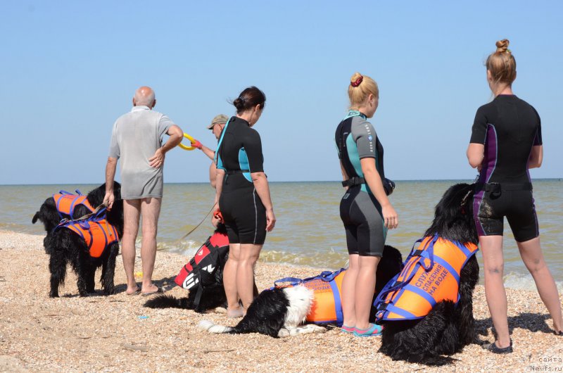 Фотография № 213425