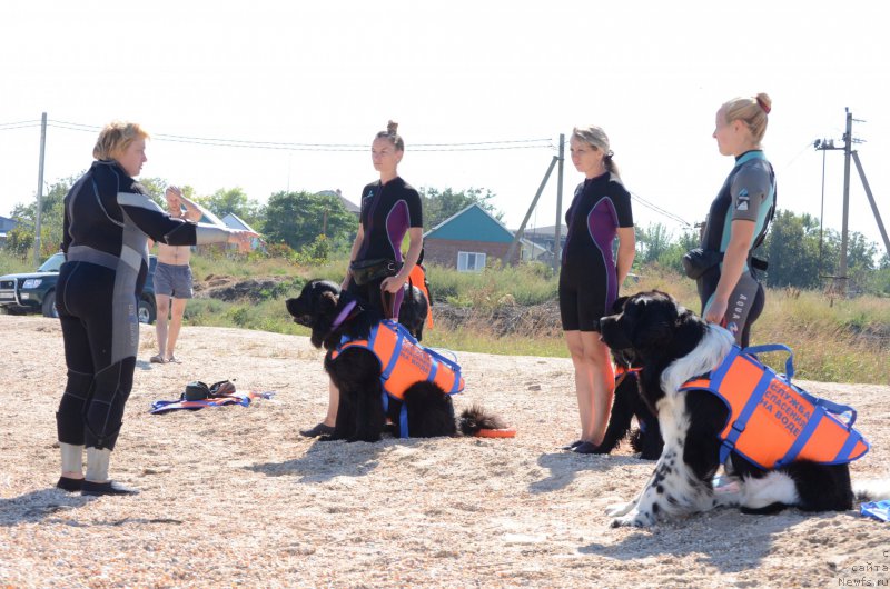 Фотография № 213426