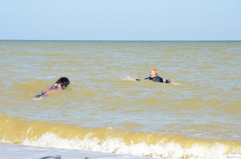 Фотография № 213429